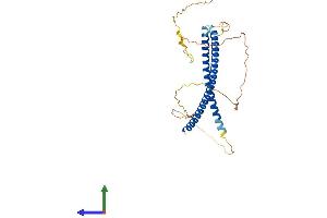 Protein Structure (PS) image for Kinetochore-Localized Astrin/SPAG5 Binding Protein (KNSTRN) (AA 1-312) protein (His tag) (ABIN7561196)