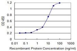 Detection limit for recombinant GST tagged RARRES1 is 0. (RARRES1 抗体  (AA 205-294))