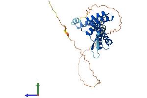 Protein Structure (PS) image for Tetratricopeptide Repeat Domain 1 (TTC1) (AA 1-292) protein (His tag) (ABIN7544758)