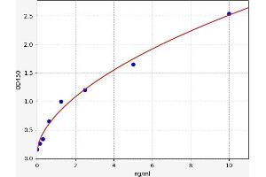 Typical standard curve (LATS2 ELISA 试剂盒)