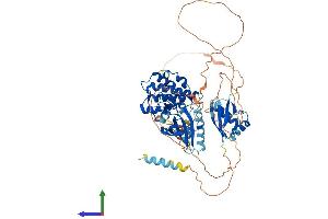 Protein Structure (PS) image for Mitogen-Activated Protein Kinase Kinase Kinase 2 (MAP3K2) (AA 1-619) protein (His tag) (ABIN7549266)
