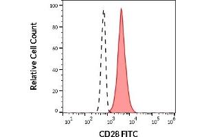Flow Cytometry (FACS) image for anti-CD28 (CD28) antibody (FITC) (ABIN349707)