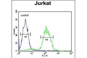 CD34 Antibody (Center) (ABIN654623 and ABIN2844320) flow cytometric analysis of Jurkat cells (right histogram) compared to a negative control cell (left histogram). (CD34 抗体  (AA 185-212))