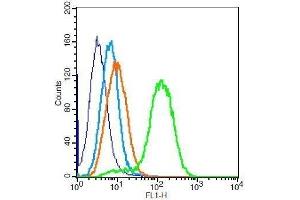 Flow Cytometry (FACS) image for anti-Calponin 1 (CNN1) (AA 201-297) antibody (ABIN724820)