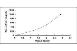 Typical standard curve (Thymic Stromal Lymphopoietin ELISA 试剂盒)