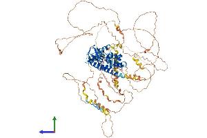 Protein Structure (PS) image for RUN and SH3 Domain Containing 1 (RUSC1) (AA 1-902) protein (His tag) (ABIN7555308)