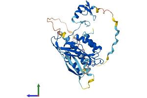 Protein Structure (PS) image for Deltex Homolog 3 (Drosophila) (DTX3) (AA 1-347) protein (His tag) (ABIN7558355)