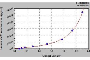 Typical Standard Curve (NME1 ELISA 试剂盒)
