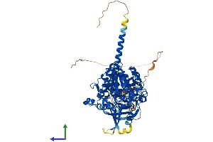 Protein Structure (PS) image for Myotubularin Related Protein 1 (MTMR1) (AA 1-665) protein (His tag) (ABIN7549521)