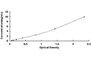 Typical standard curve (JAG1 ELISA 试剂盒)
