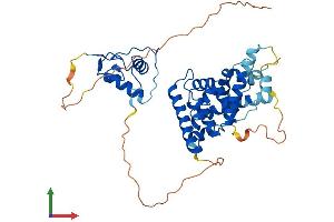 Protein Structure (PS) image for Nuclear Receptor Subfamily 2, Group F, Member 6 (NR2F6) (AA 1-404) protein (His tag) (ABIN7554787)