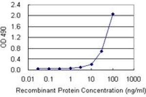 Sandwich ELISA detection sensitivity ranging from 3 ng/mL to 100 ng/mL. (HMGB1 (人) Matched Antibody Pair)