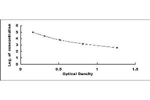 Typical standard curve (Dystroglycan ELISA 试剂盒)