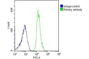 Overlay histogram showing U-2OS cells stained with (ABIN6242742 and ABIN6578595) (green line). (RPL4 抗体  (AA 119-149))