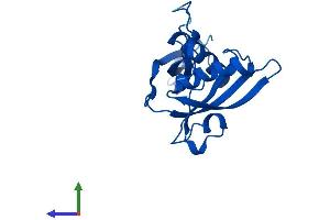 AlphaFold protein structure predicition of Human Recombinant RPL18A Protein, UniprotID Q02543 (RPL18A Protein (AA 1-176) (His tag))