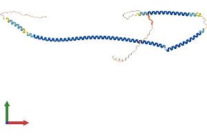 Protein Structure (PS) image for Synaptonemal Complex Central Element Protein 1 (SYCE1) (AA 1-351) protein (His tag) (ABIN7546459)