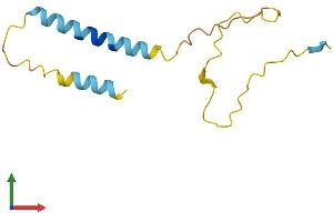 Protein Structure (PS) image for PDZK1 Interacting Protein 1 (PDZK1IP1) (AA 1-114) protein (His tag) (ABIN7550610)