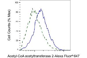 Validation of Acetyl-CoA acetyltransferase 2 knockdown using flow cytometry.
