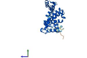 Protein Structure (PS) image for GID Complex Subunit 8 Homolog (GID8) (AA 1-228) protein (His tag) (ABIN7547990)
