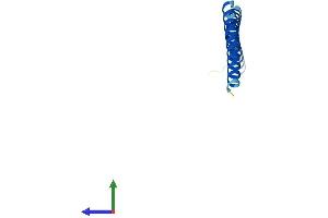 Protein Structure (PS) image for Synaptonemal Complex Central Element Protein 3 (SYCE3) (AA 1-88) protein (His tag) (ABIN7546460)