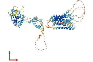 Protein Structure (PS) image for Solute Carrier Family 39 (Zinc Transporter), Member 12 (SLC39A12) (AA 1-689) protein (His tag) (ABIN7557453)