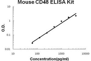 Mouse CD48 PicoKine ELISA Kit standard curve (CD48 ELISA 试剂盒)