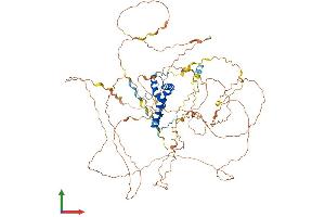 Protein Structure (PS) image for SRY (Sex Determining Region Y)-Box 30 (SOX30) (AA 1-753) protein (His tag) (ABIN7546112)