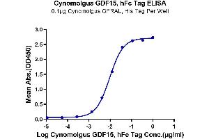 ELISA image for Growth Differentiation Factor 15 (GDF15) (AA 197-308) protein (Fc Tag) (ABIN7274719)