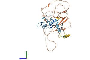 Protein Structure (PS) image for YY1 Transcription Factor (YY1) (AA 1-414) protein (His tag) (ABIN7555932)