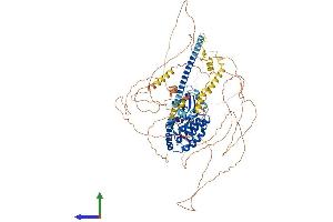 Protein Structure (PS) image for Mitogen-Activated Protein Kinase Kinase Kinase 13 (MAP3K13) (AA 1-966) protein (His tag) (ABIN7554497)