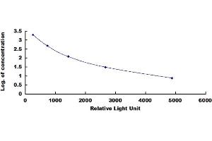 ELISA image for Endorphin beta (beta-EP) CLIA Kit (ABIN4947393)
