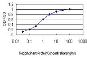Detection limit for recombinant GST tagged RAD54B is approximately 0. (RAD54B 抗体  (AA 801-910))