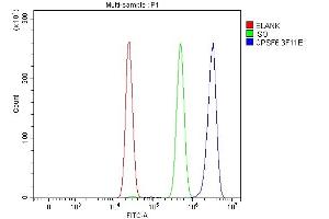 Flow Cytometry analysis of HepG2 cells using anti-CPSF6 antibody (ABIN7601897).