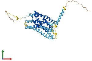 AlphaFold protein structure predicition of Mouse Recombinant Ackr4 Protein, UniprotID Q924I3