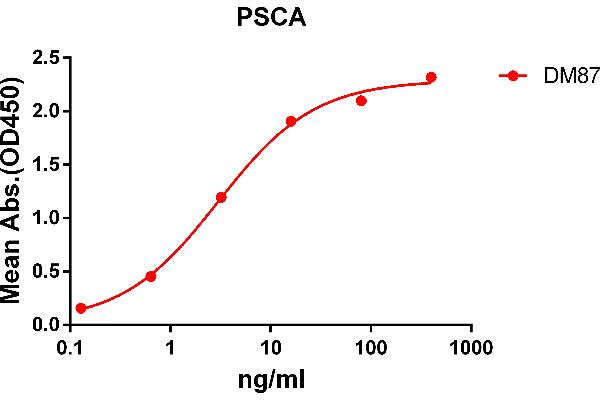 PSCA Antikörper  (AA 12-86)