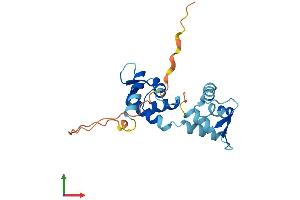 Protein Structure (PS) image for Calmodulin-Like 4 (CALML4) (AA 1-196) protein (His tag) (ABIN7552995)