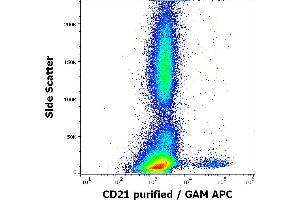 Flow cytometry surface staining pattern of human peripheral whole blood stained using anti-human CD21 (LT21) purified antibody (concentration in sample 1 μg/mL) GAM APC. (CD21 抗体)