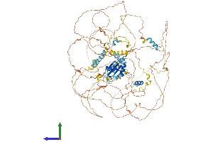 AlphaFold protein structure predicition of Human Recombinant PPARGC1B Protein, UniprotID Q86YN6 (PPARGC1B Protein (AA 1-1023) (His tag))