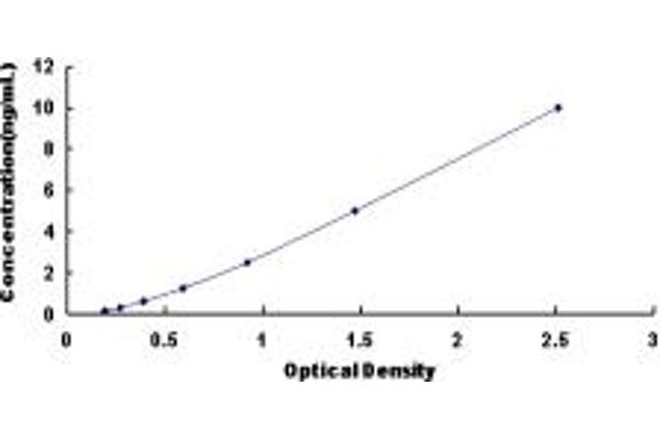 beta 2 Adrenergic Receptor ELISA 试剂盒