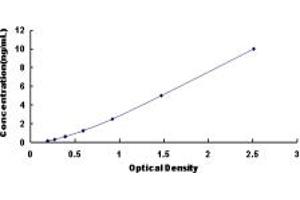 Typical standard curve (beta 2 Adrenergic Receptor ELISA 试剂盒)