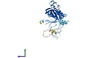 AlphaFold protein structure predicition of Mouse Recombinant P2rx3 Protein, UniprotID Q3UR32 (P2RX3 Protein (AA 1-397) (His tag))