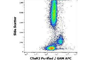 Flow cytometry surface staining pattern of human peripheral whole blood stained using anti-human C5aR2 (1D9-M12) Purified antibody (concentration in sample 5,0 μg/mL, GAM APC). (GPR77 抗体)