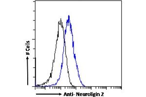 (ABIN190848) Flow cytometric analysis of paraformaldehyde fixed MCF7 cells (blue line), permeabilized with 0. (Neuroligin 2 抗体  (Internal Region))