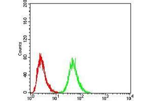 Flow Cytometry (FACS) image for anti-DEAD (Asp-Glu-Ala-Asp) Box Polypeptide 3, X-Linked (DDX3X) (AA 518-661) antibody (ABIN5542508)