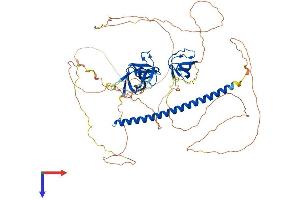 SH3KBP1 Protein (AA 1-665) (His tag)