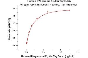 Immobilized Human , Tag Free (ABIN2181249,ABIN2693593) at 5 μg/mL (100 μL/well) can bind Human  R1, His Tag (ABIN2181257,ABIN2181256) with a linear range of 0. (IFNGR1 Protein (AA 18-245) (His tag))