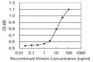 Sandwich ELISA detection sensitivity ranging from 1 ng/mL to 100 ng/mL. (FGF21 (人) Matched Antibody Pair)
