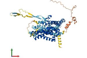 Protein Structure (PS) image for Solute Carrier Family 1 (Glutamate Transporter), Member 7 (SLC1A7) (AA 1-560) protein (His tag) (ABIN7547316)
