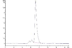 Size-exclusion chromatography-High Pressure Liquid Chromatography (SEC-HPLC) image for Chemokine (C-X-C Motif) Ligand 16 (CXCL16) (AA 27-201) protein (Fc Tag) (ABIN7274451)