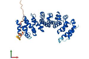 AlphaFold protein structure predicition of Human Recombinant RSPH14 Protein, UniprotID Q9UHP6